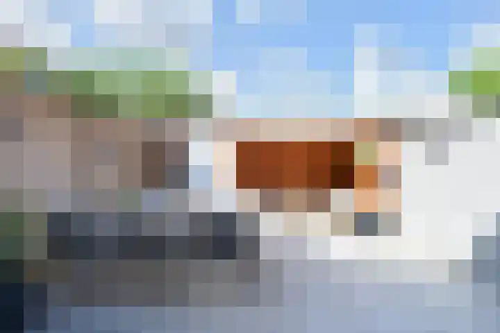 Pauwstraat 1 Voorburg thumbnail 49
