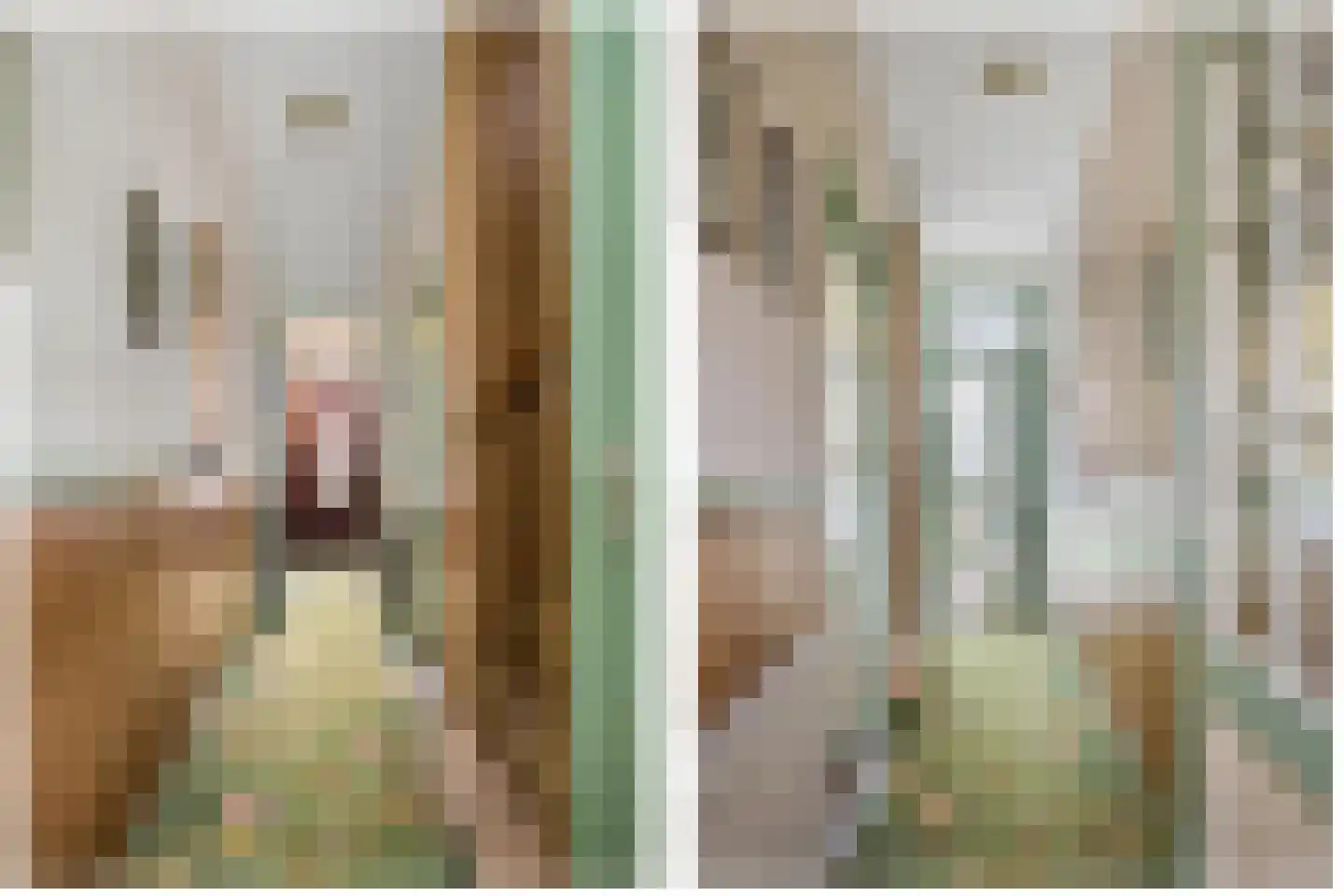 Pauwstraat 11 Voorburg thumbnail 13