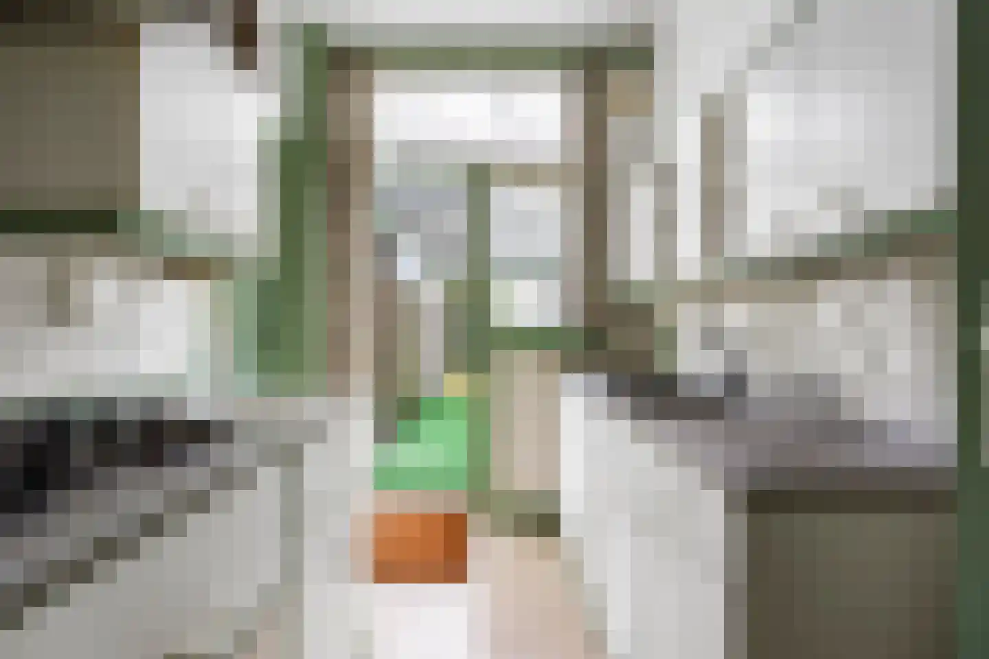 Pauwstraat 11 Voorburg thumbnail 9