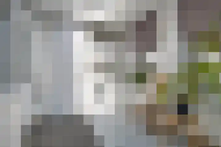 Pauwstraat 11 Zundert thumbnail 5