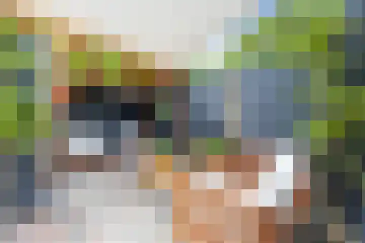 Pauwstraat 17 Voorburg thumbnail 14