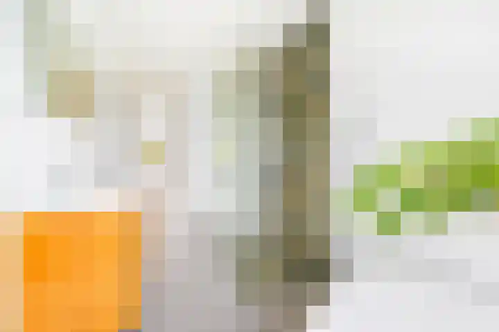 Pauwstraat 17 Voorburg thumbnail 21