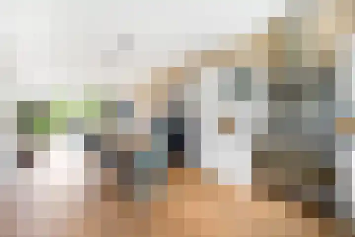 Pauwstraat 17 Voorburg thumbnail 4