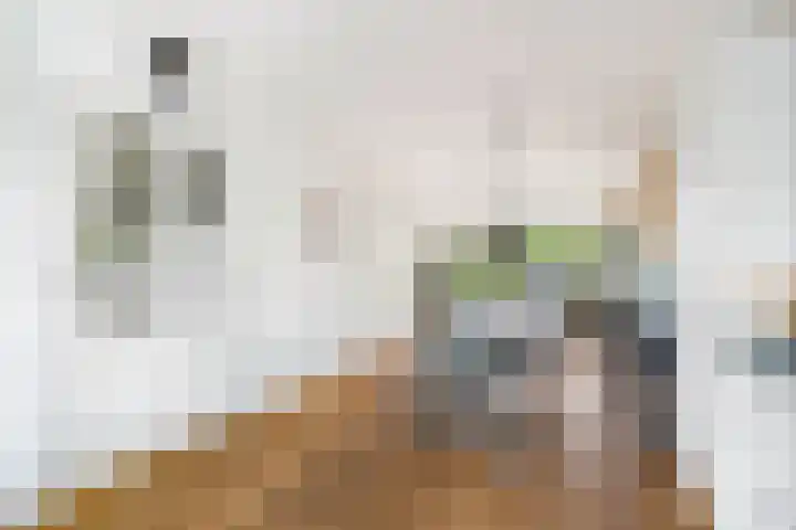 Pauwstraat 17 Voorburg thumbnail 6
