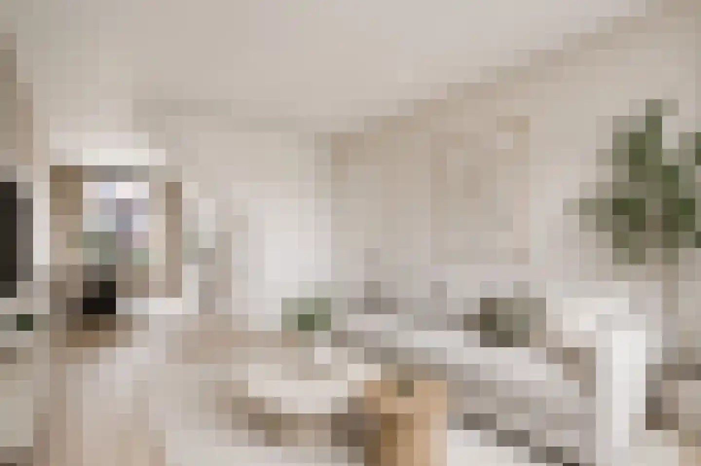 Pauwstraat 18 Voorburg thumbnail 10