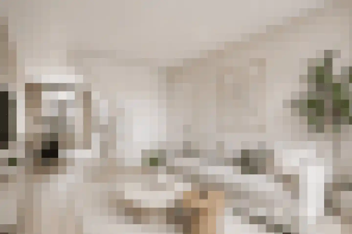 Pauwstraat 18 Voorburg thumbnail 10