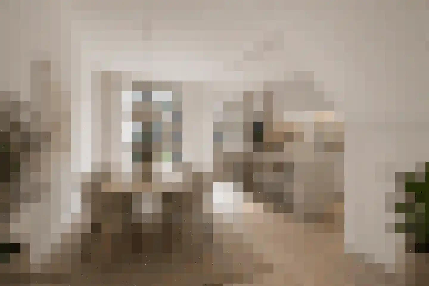 Pauwstraat 18 Voorburg thumbnail 12