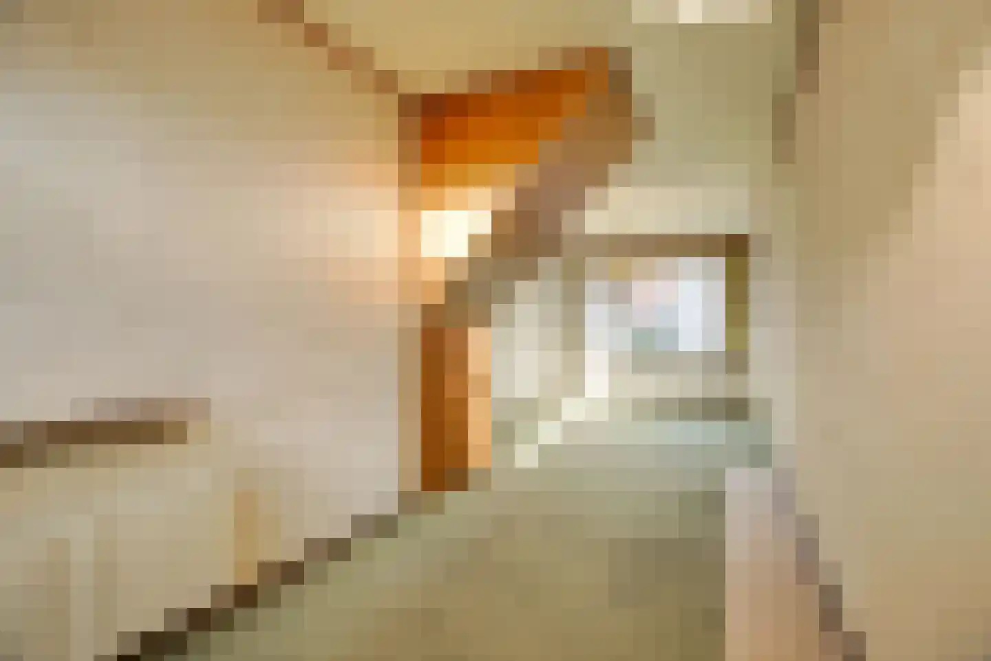 Pauwstraat 18 Voorburg thumbnail 13