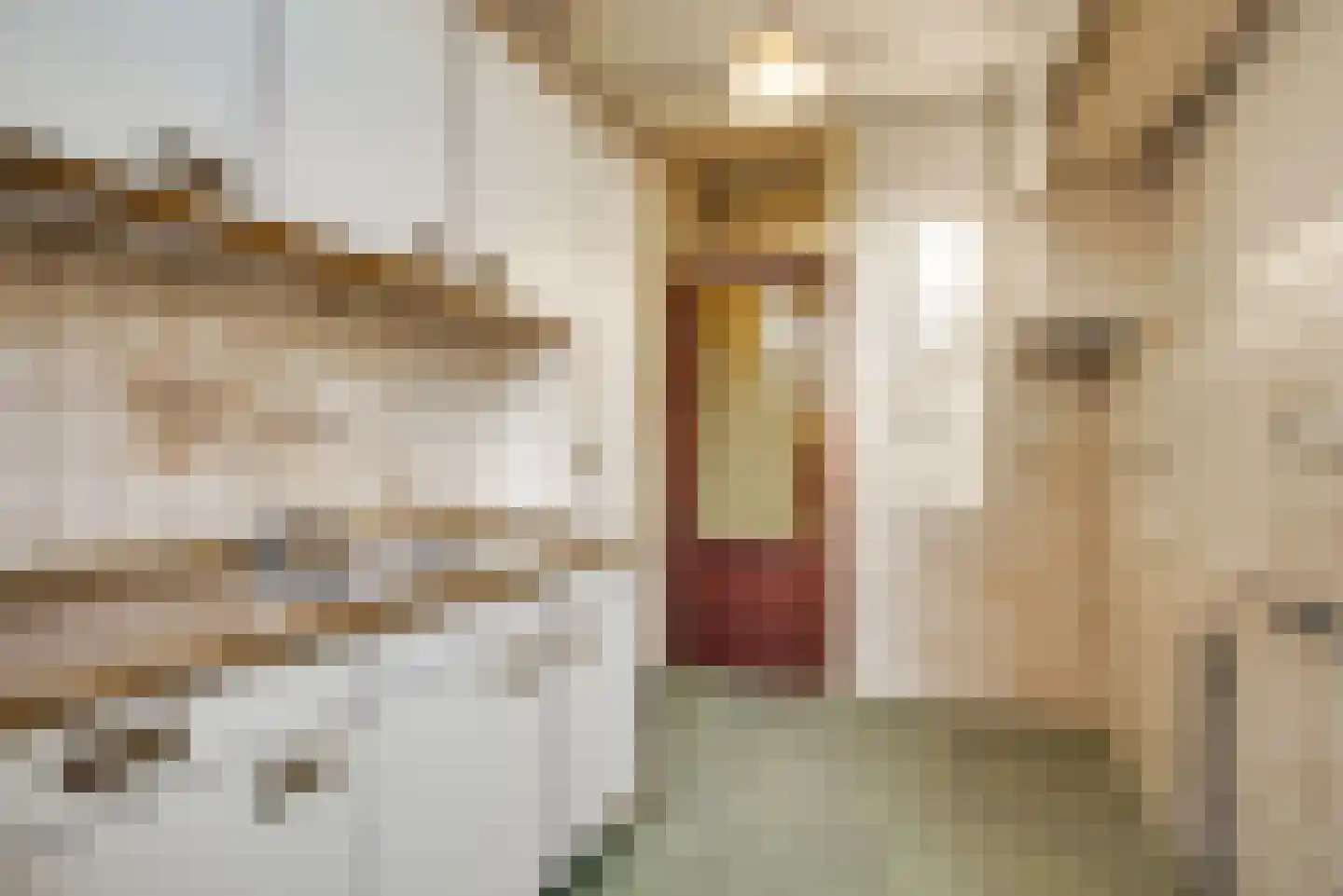 Pauwstraat 18 Voorburg thumbnail 15
