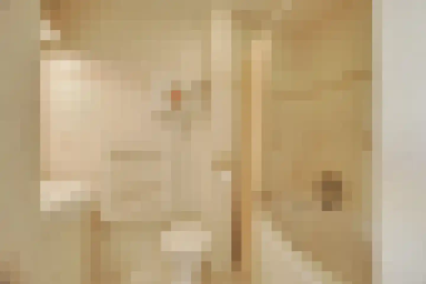 Pauwstraat 18 Voorburg thumbnail 16