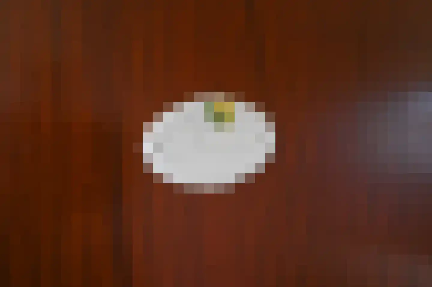 Pauwstraat 18 Voorburg thumbnail 39