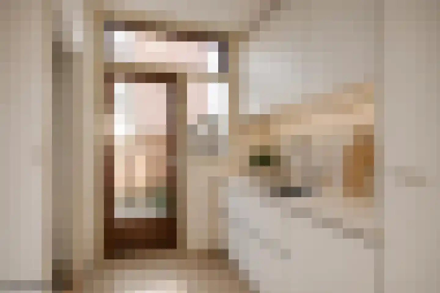 Pauwstraat 18 Voorburg thumbnail 5