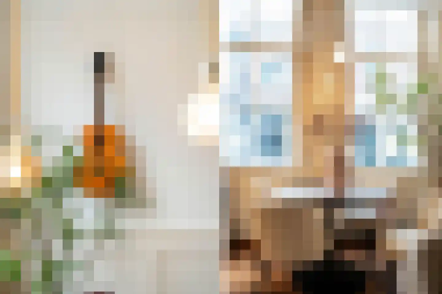 Pauwstraat 21 Utrecht thumbnail 14