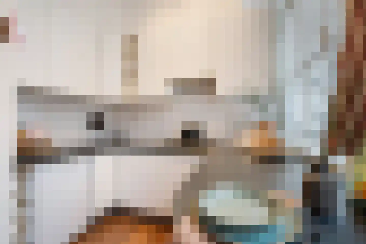 Pauwstraat 21 Utrecht thumbnail 17