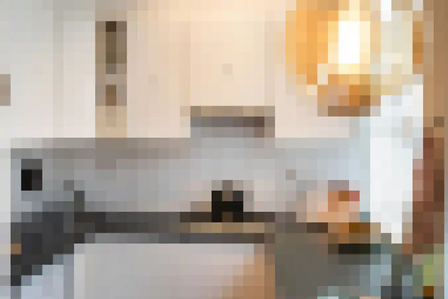 Pauwstraat 21 Utrecht thumbnail 18