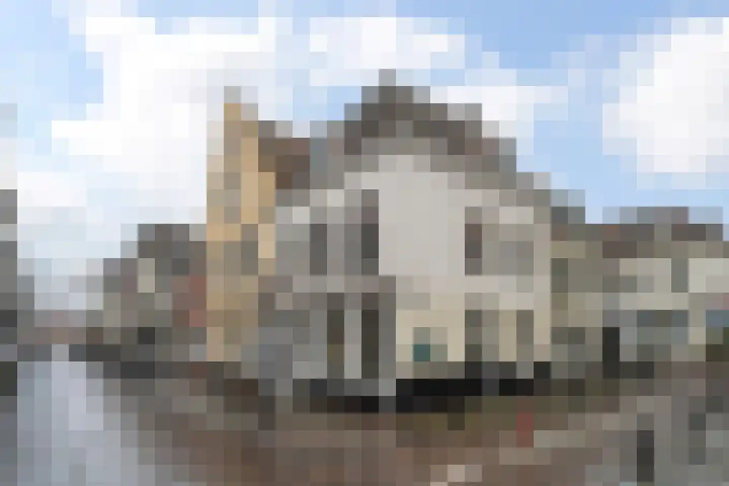 Pauwstraat 21 Utrecht thumbnail 32