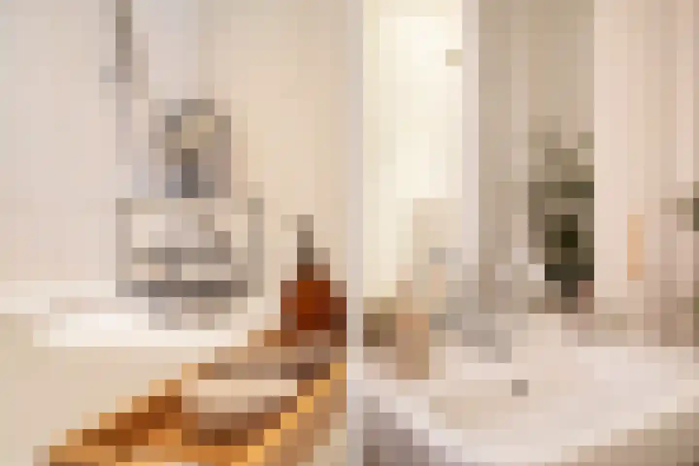 Pauwstraat 21 Utrecht thumbnail 4