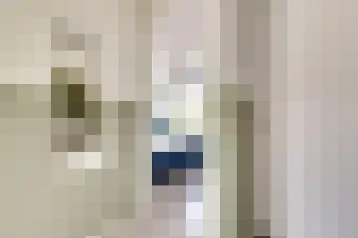 Pauwstraat 23 Wijchen thumbnail 18