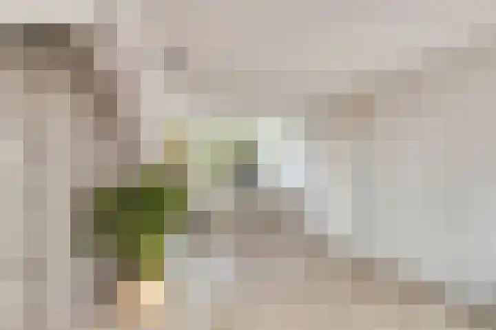 Pauwstraat 23 Wijchen thumbnail 37