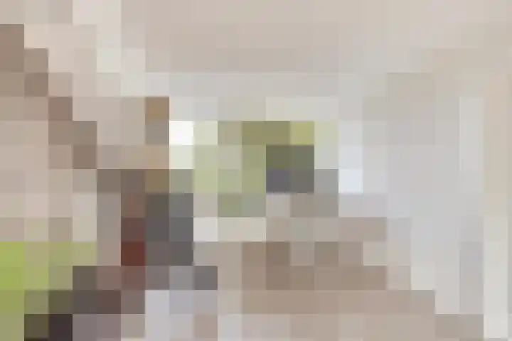 Pauwstraat 23 Wijchen thumbnail 38