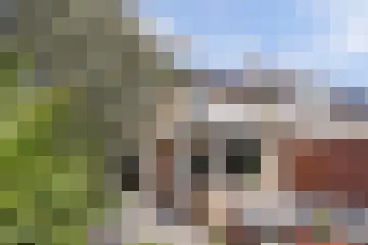 Pauwstraat 23 Wijchen thumbnail 41