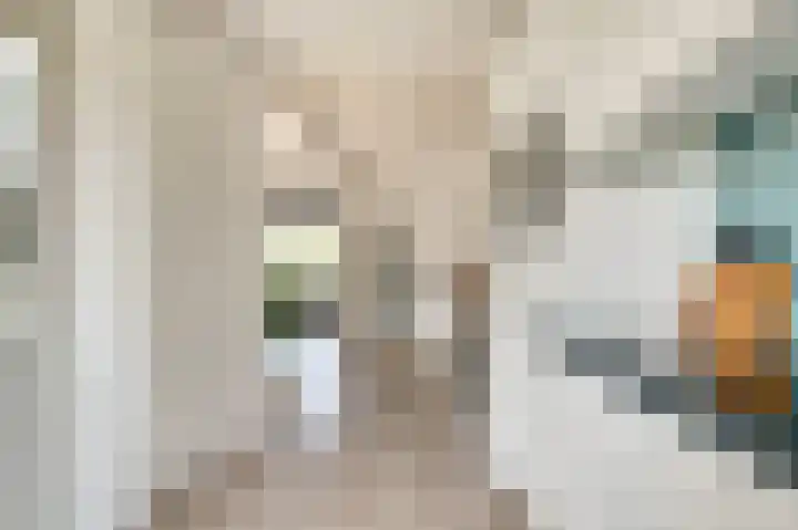Pauwstraat 23 Wijchen thumbnail 8