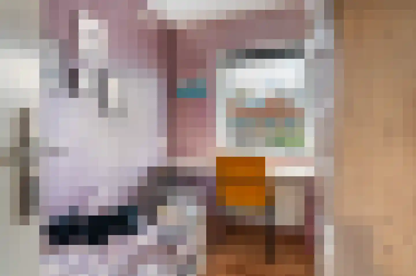 Pauwstraat 31 Wijchen thumbnail 29