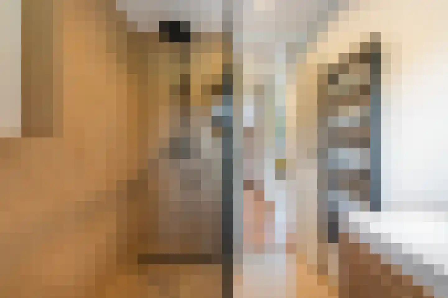 Pauwstraat 31 Wijchen thumbnail 32