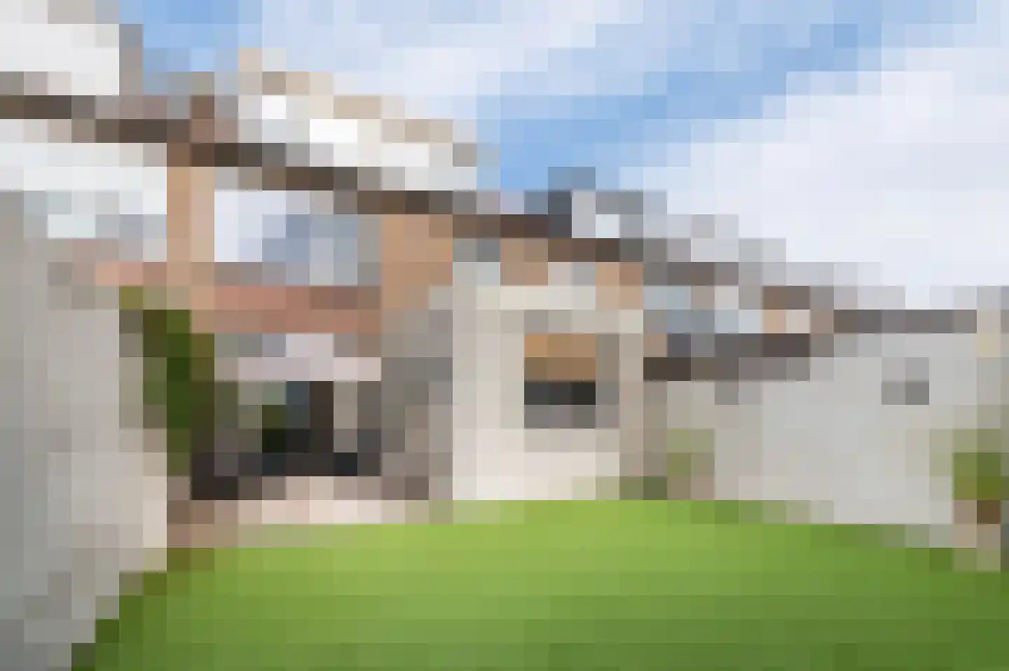 Pauwstraat 31 Wijchen thumbnail 39