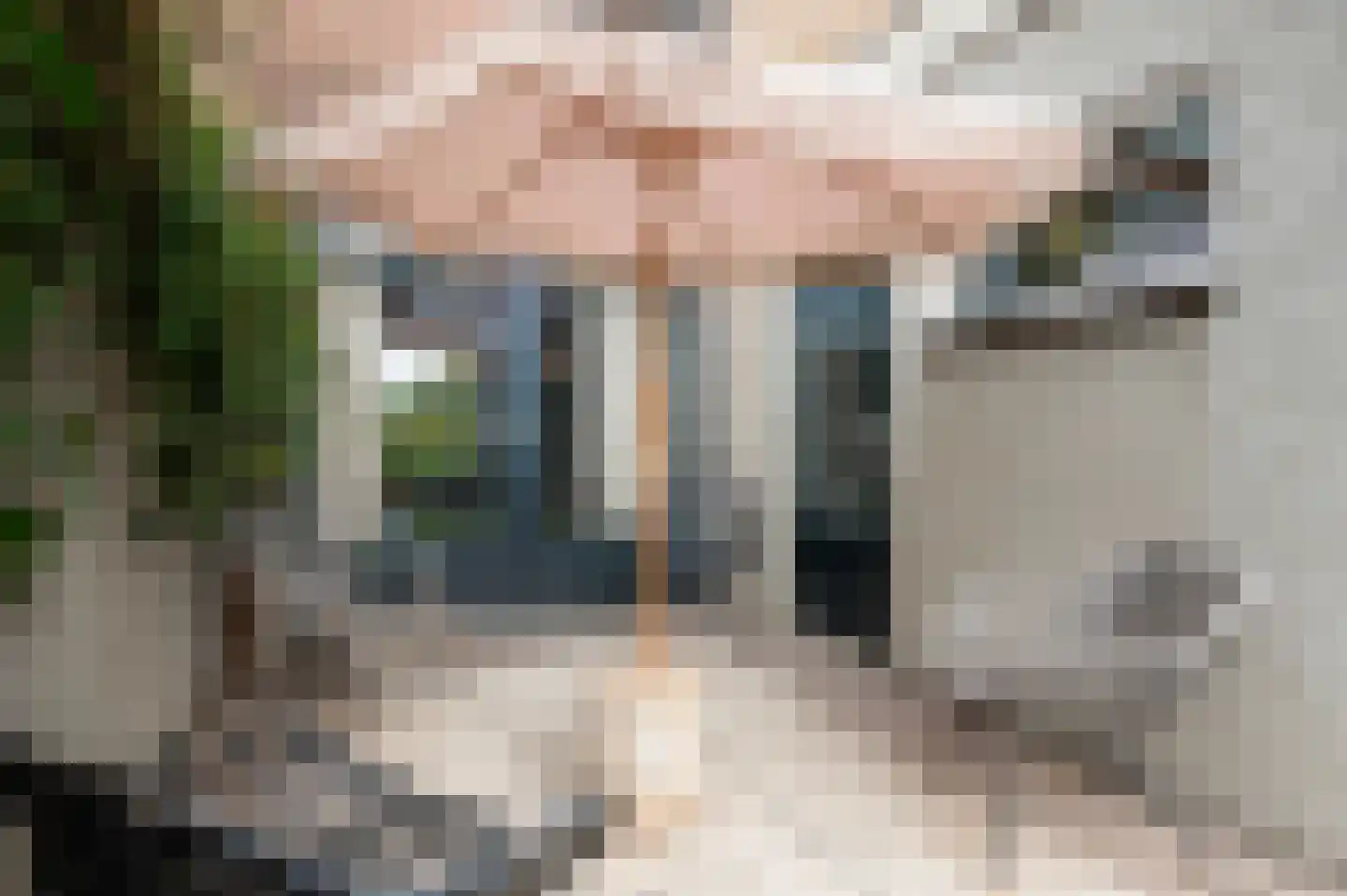Pauwstraat 31 Wijchen thumbnail 44