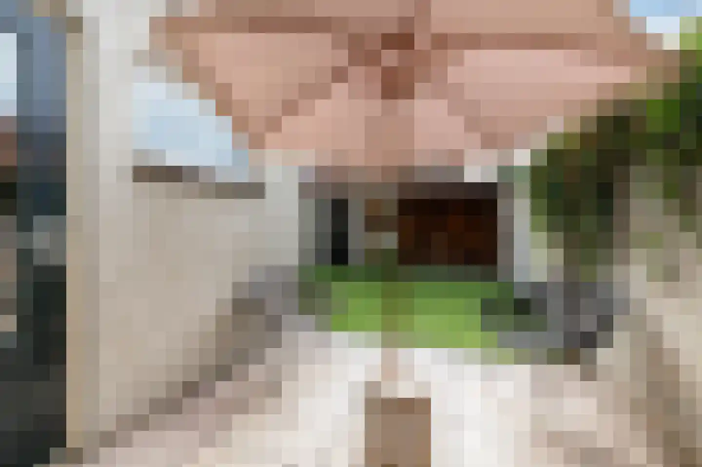 Pauwstraat 31 Wijchen thumbnail 45
