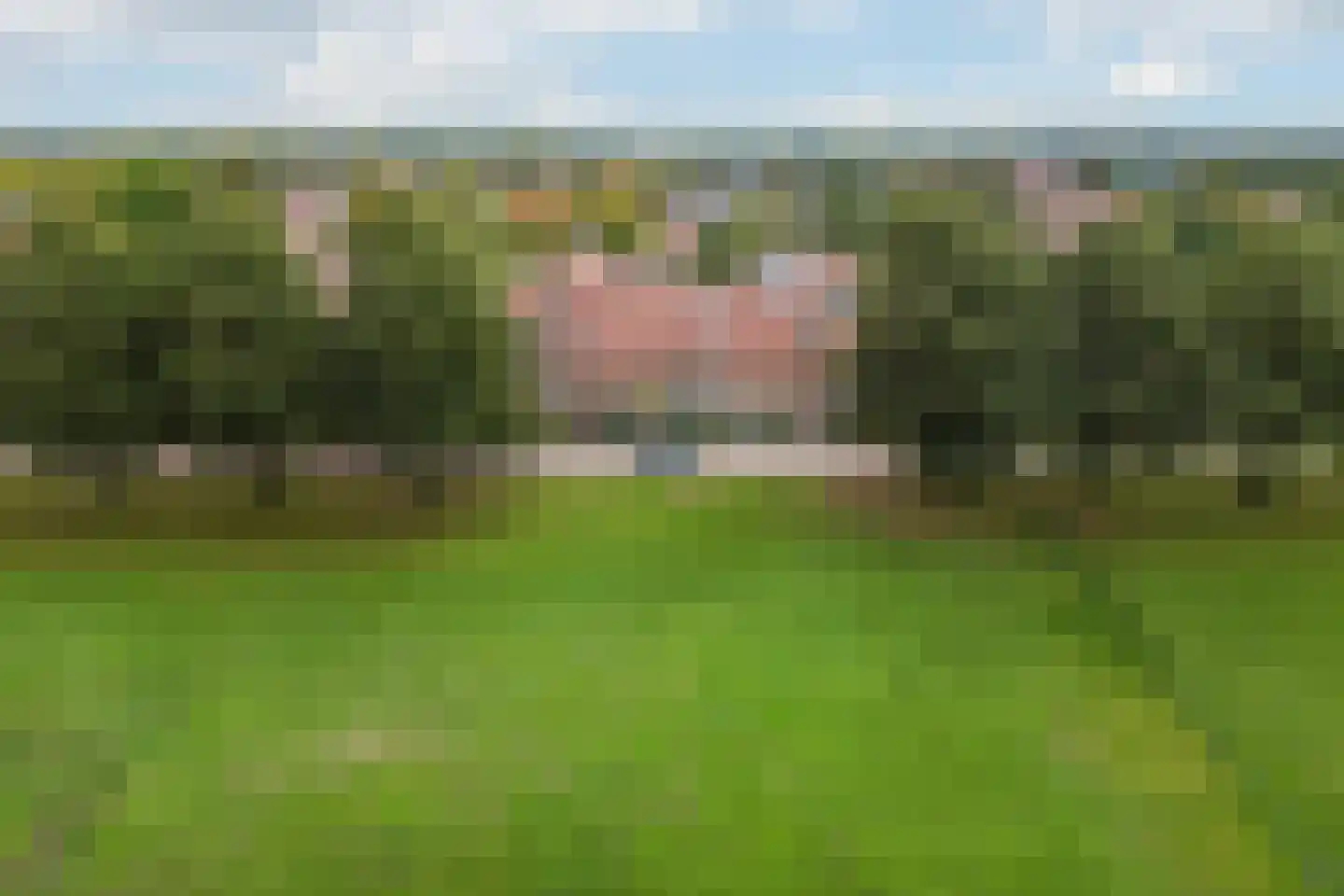 Pauwstraat 31 Wijchen thumbnail 48