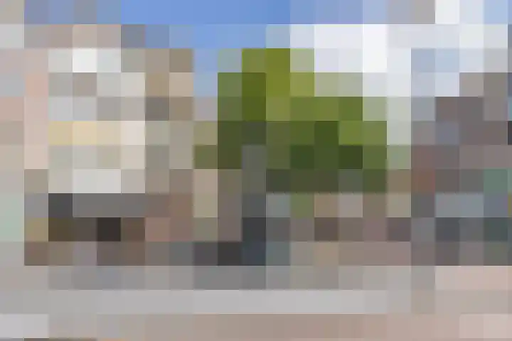 Pauwstraat 4 Utrecht thumbnail 25