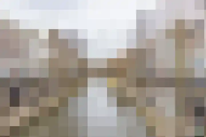 Pauwstraat 4 Utrecht thumbnail 6