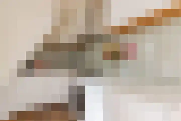 Pauwstraat 4 Utrecht thumbnail 9