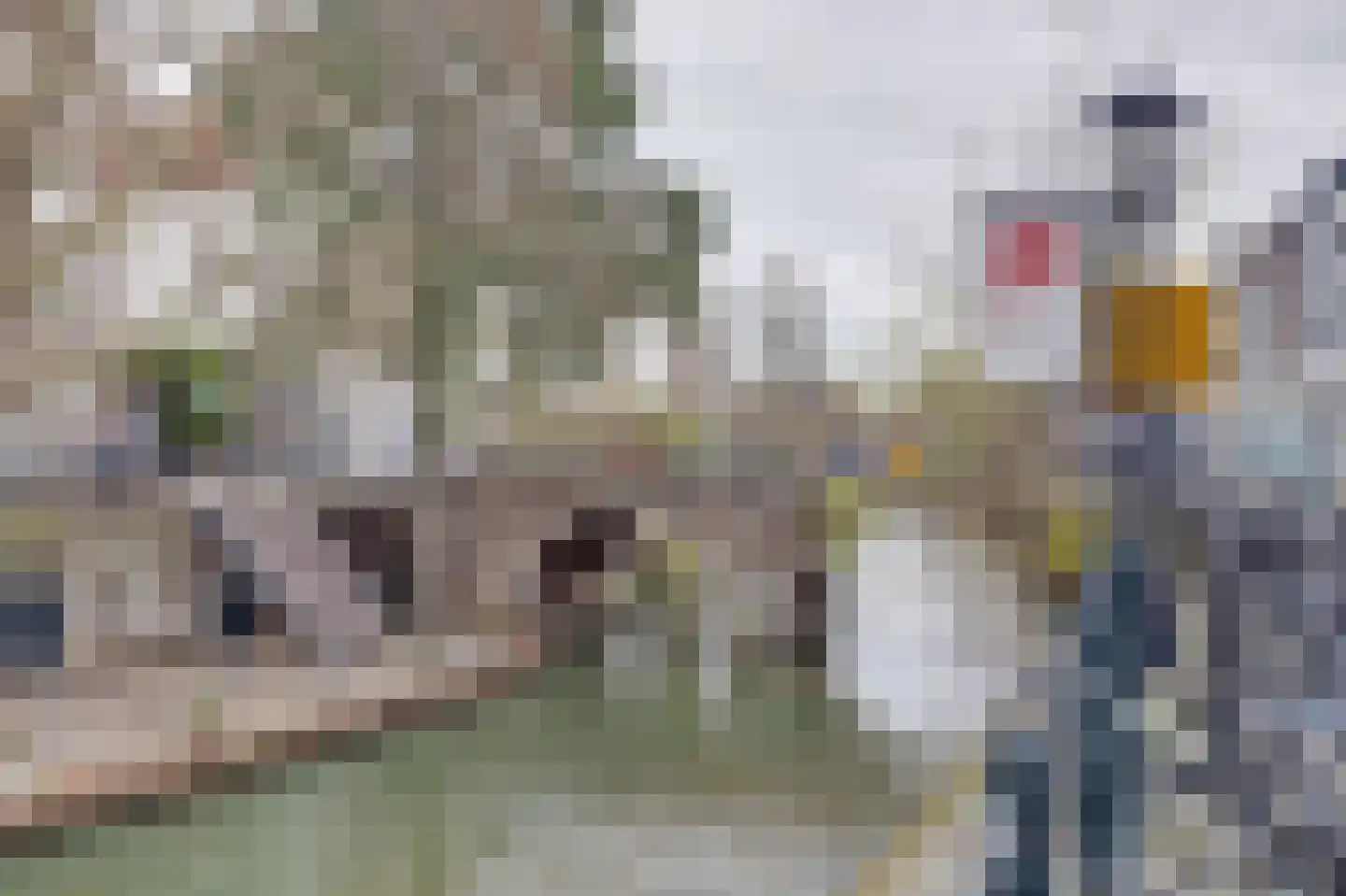 Pauwstraat 5 Utrecht thumbnail 18