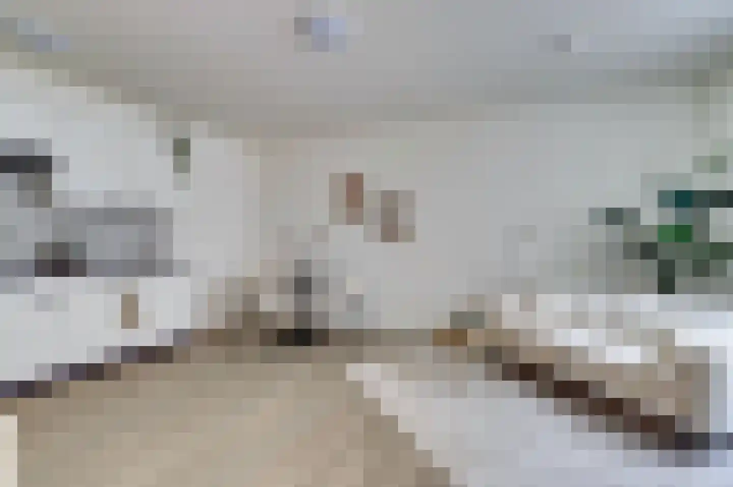 Pauwstraat 5 Utrecht thumbnail 4
