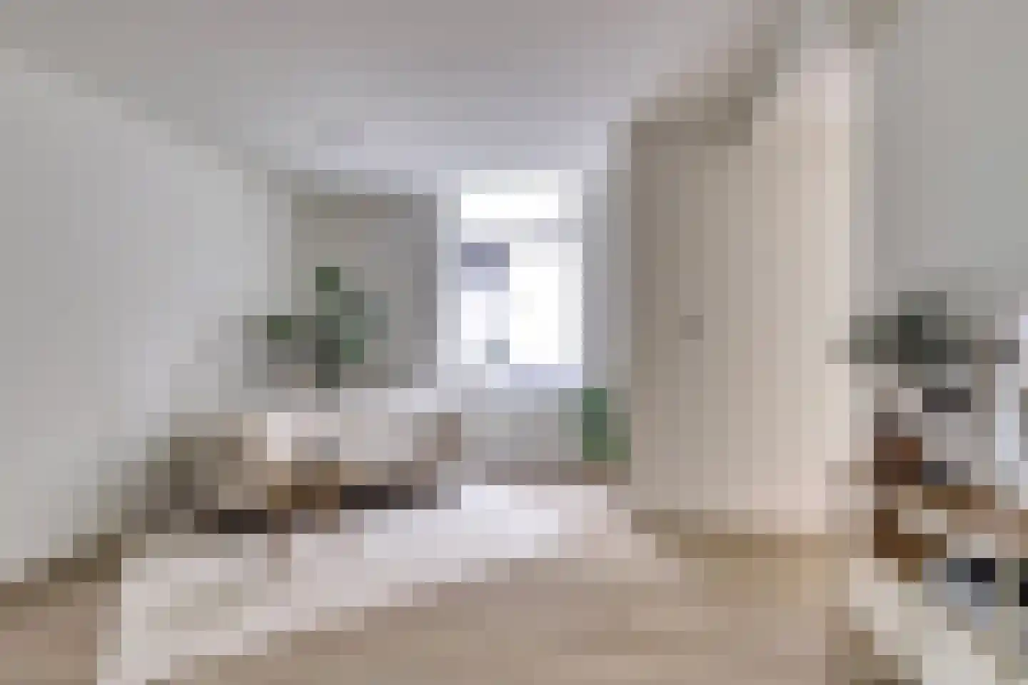 Pauwstraat 5 Utrecht thumbnail 5