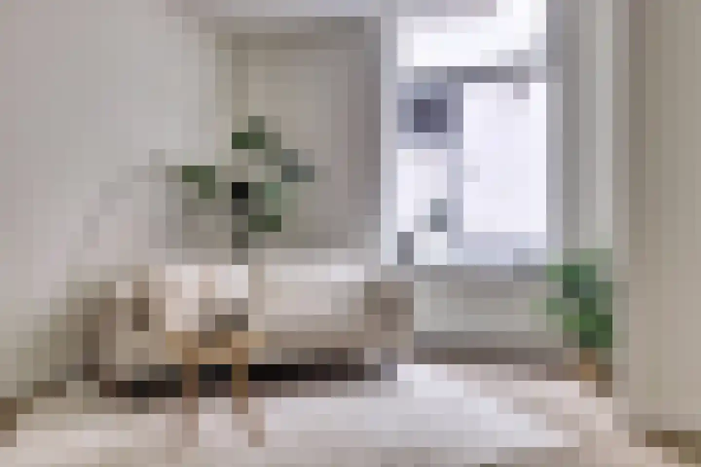 Pauwstraat 5 Utrecht thumbnail 6