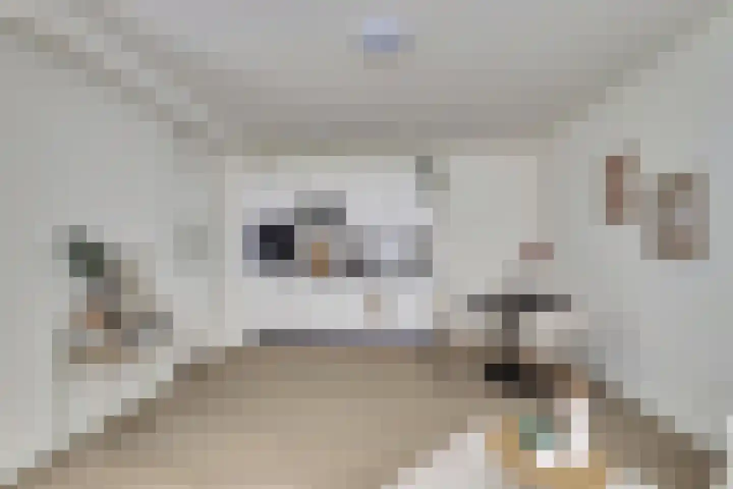 Pauwstraat 5 Utrecht thumbnail 9