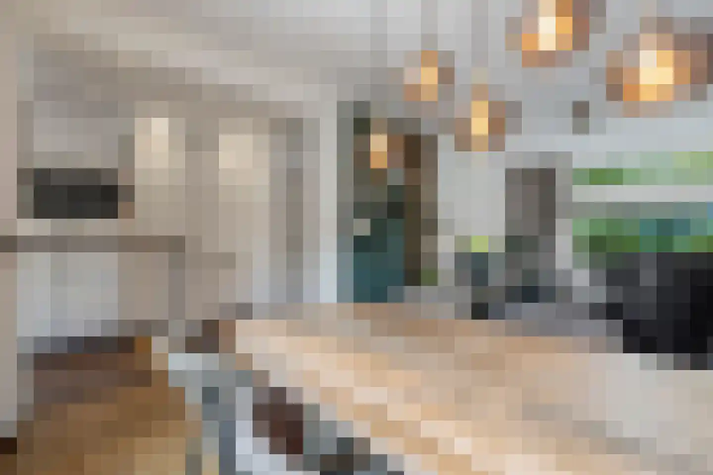 Pauwstraat 5 Wijchen thumbnail 10