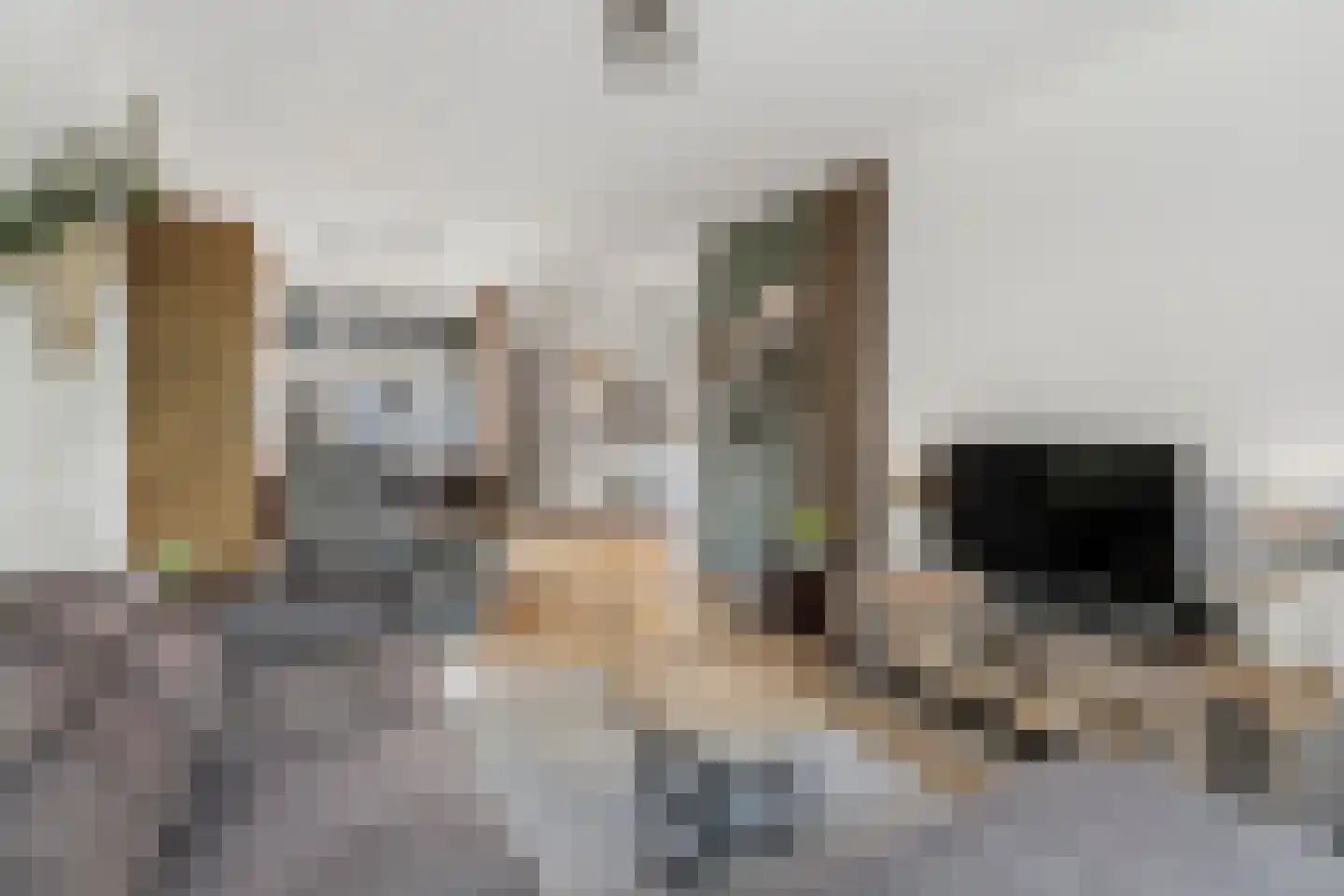 Pauwstraat 5 Wijchen thumbnail 8