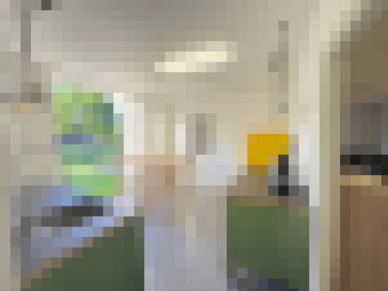 Pauwstraat 6 Mill thumbnail 10
