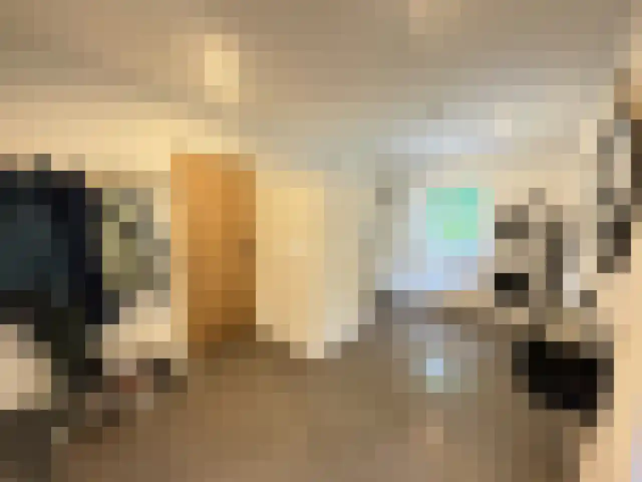 Pauwstraat 6 Mill thumbnail 12