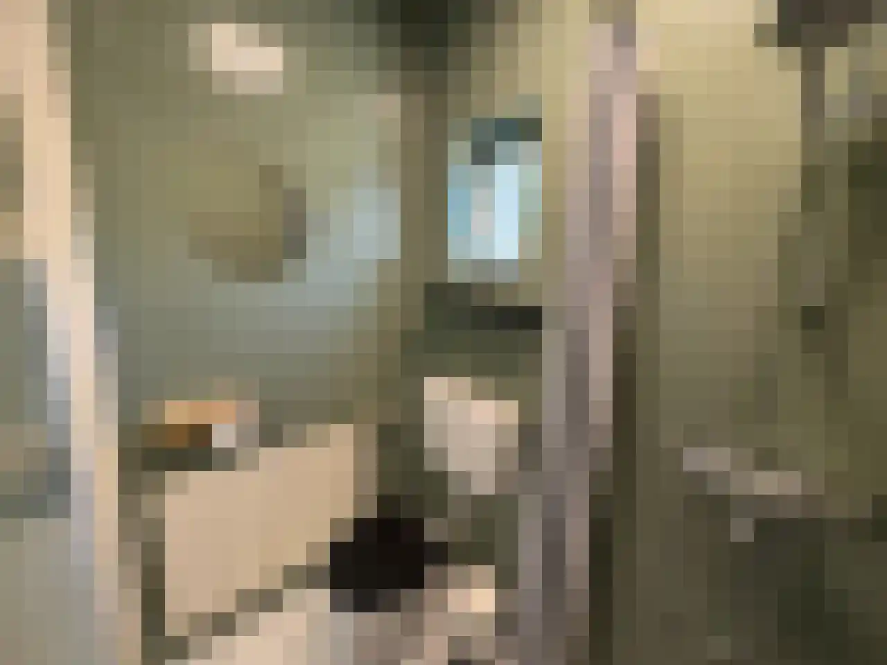 Pauwstraat 6 Mill thumbnail 13