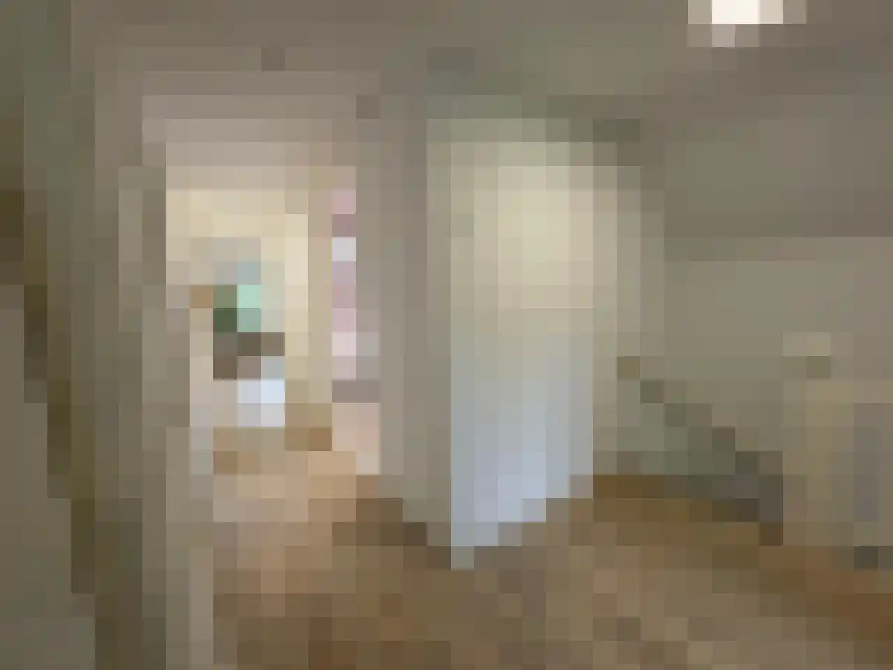 Pauwstraat 6 Mill thumbnail 14