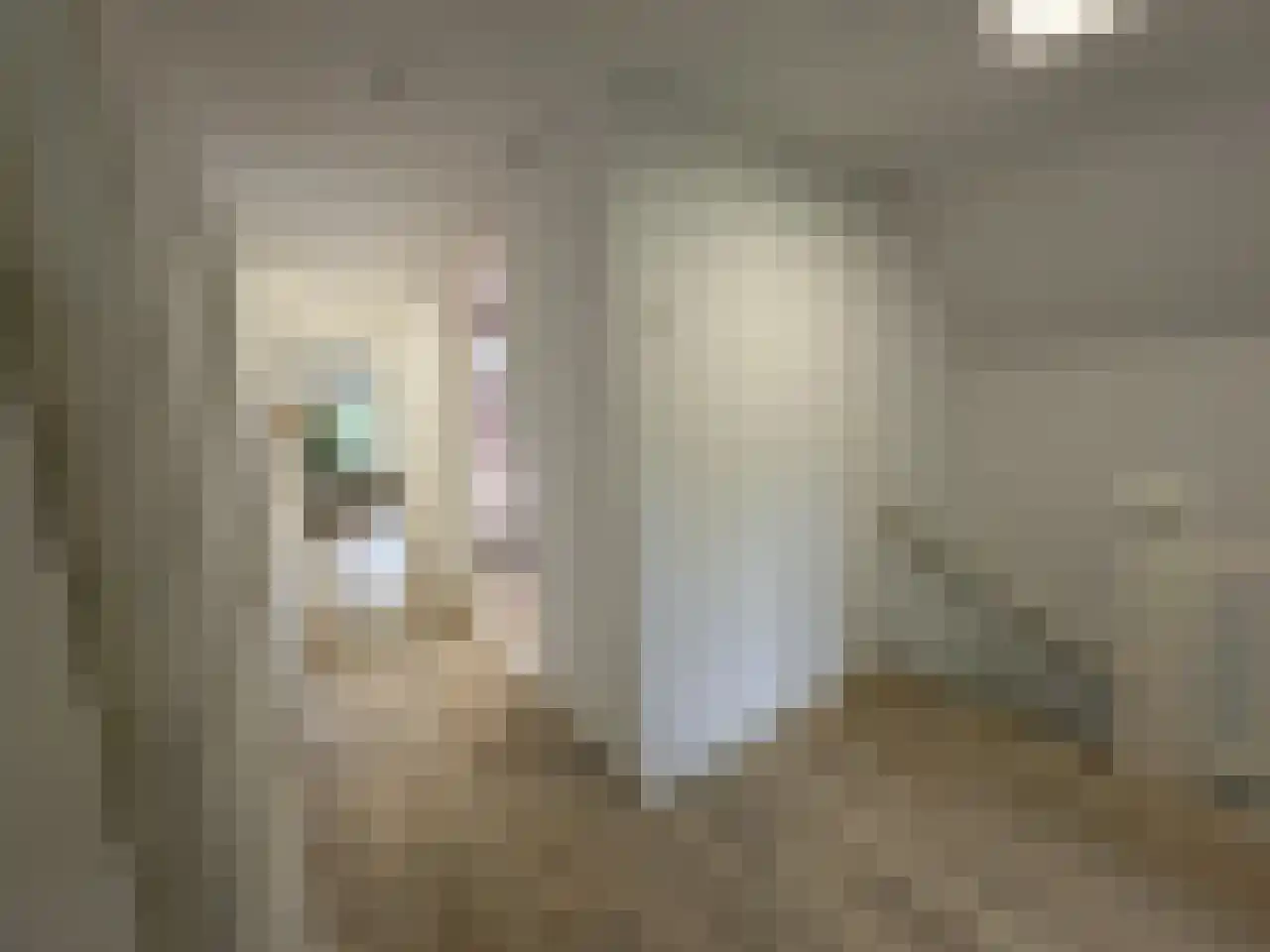 Pauwstraat 6 Mill thumbnail 14