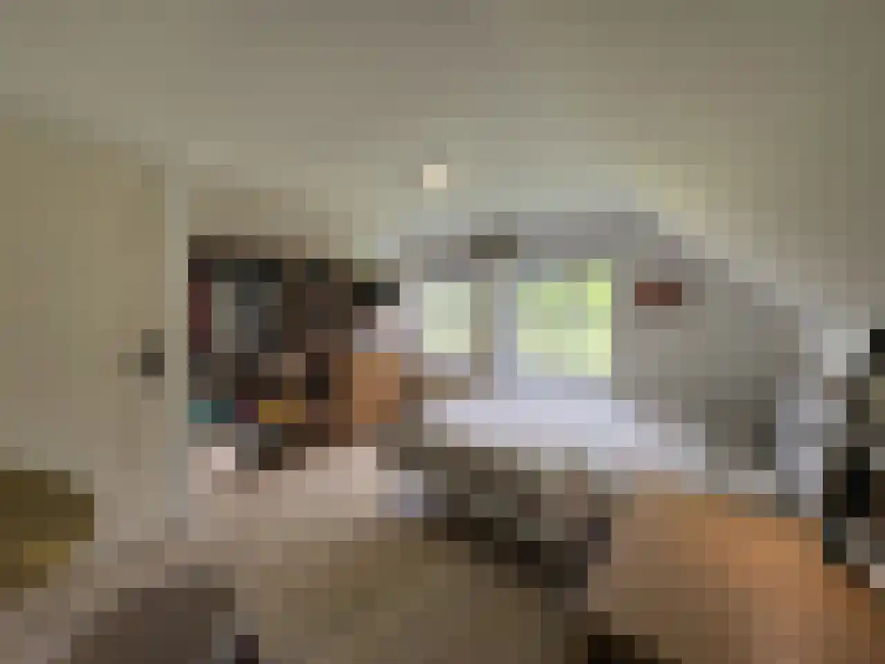 Pauwstraat 6 Mill thumbnail 15