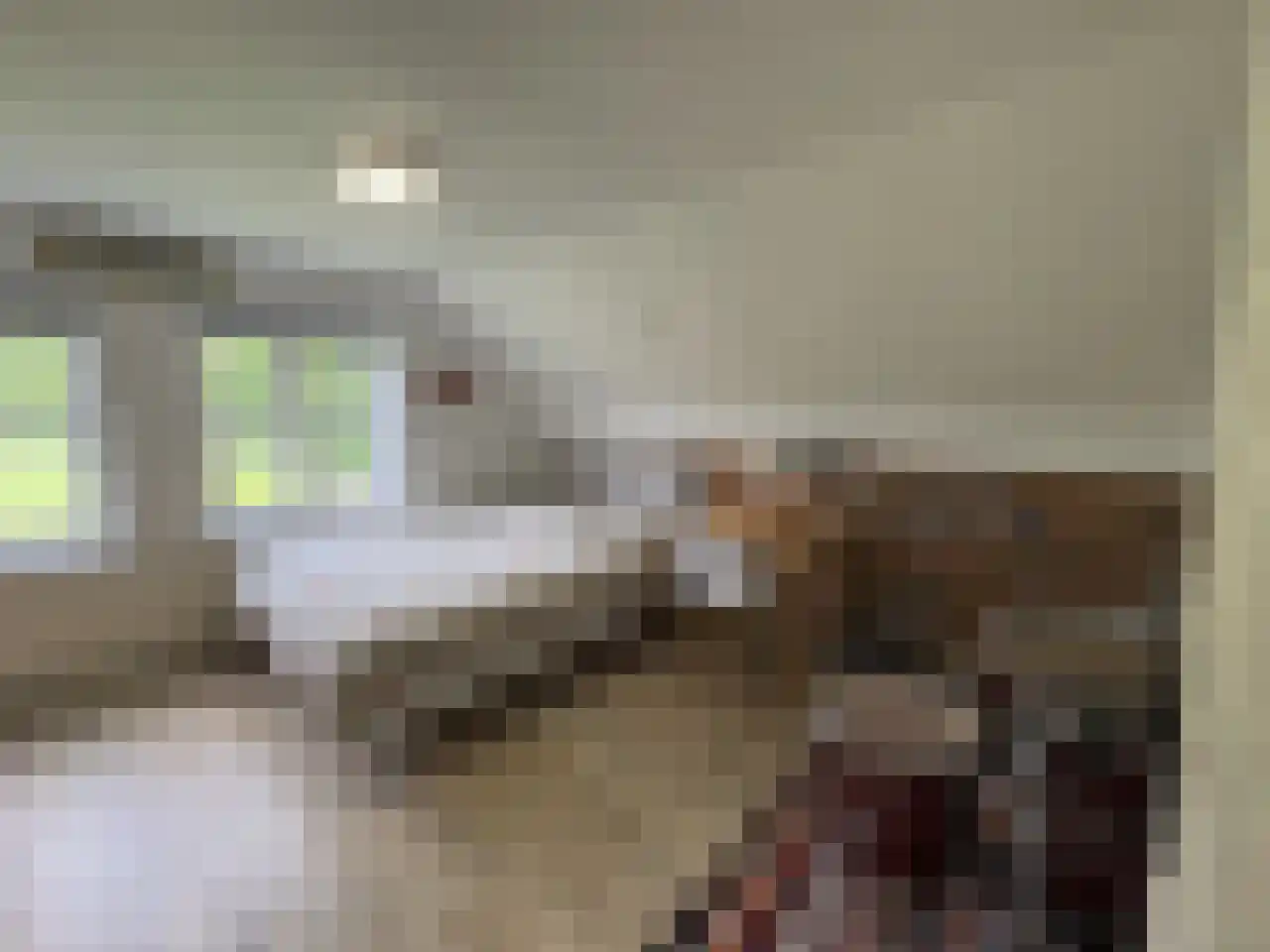 Pauwstraat 6 Mill thumbnail 16
