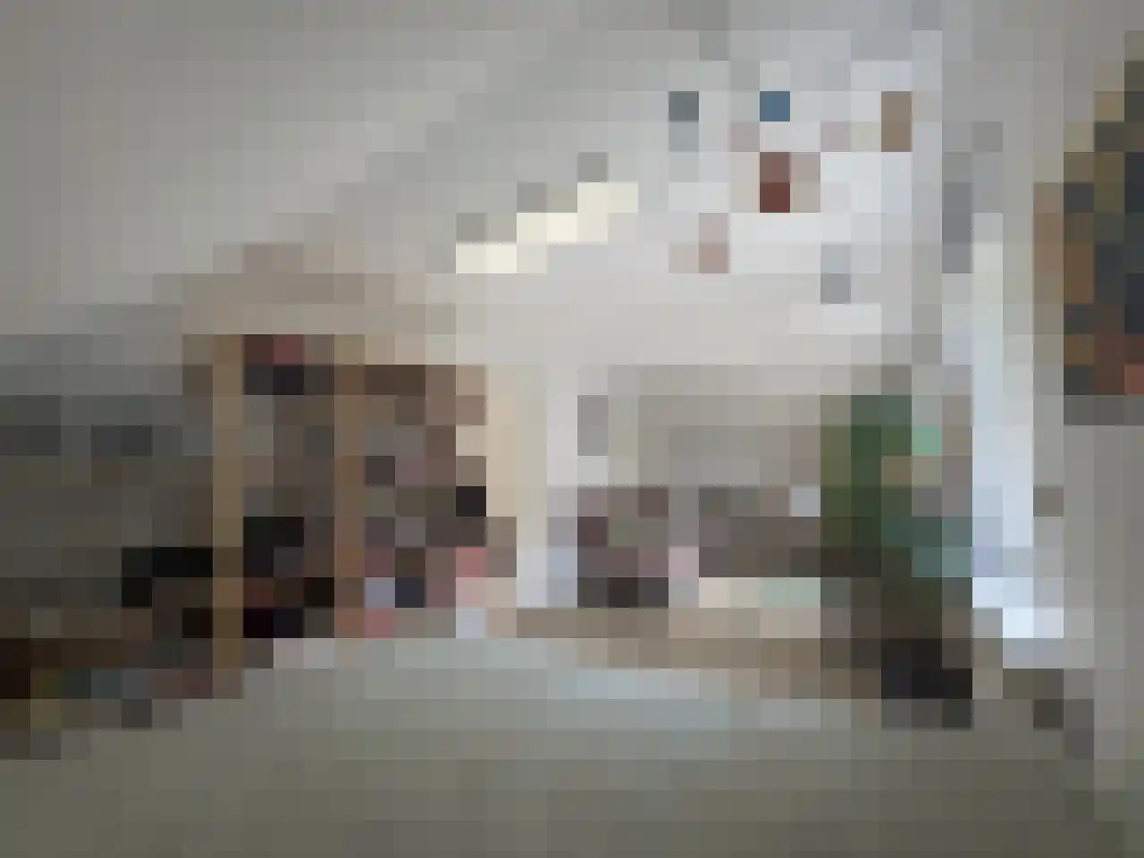 Pauwstraat 6 Mill thumbnail 18